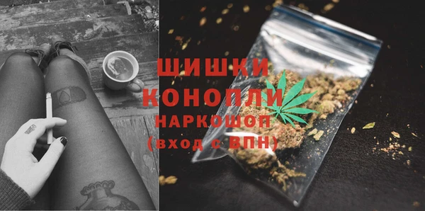 альфа пвп Заводоуковск