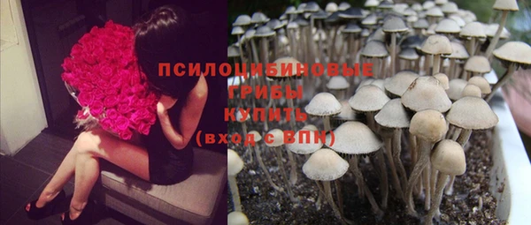 спиды Заволжье